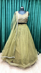 Green Net Lehenga With Sequins and Cut Dana Work